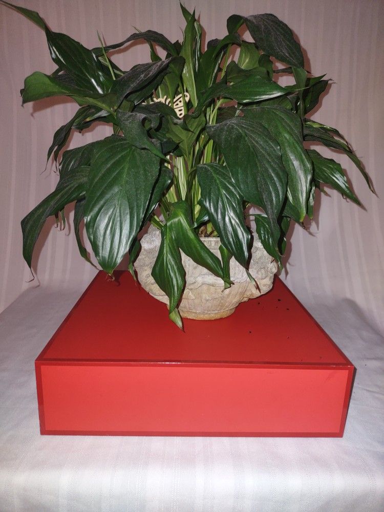 Cement Rustic Weathered Greek Style With Cherub Planter