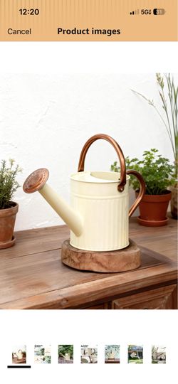 Watering Can for Indoor Outdoor Plant Metal Watering Can with Removable Spout Embossd Design Plant Watering Devices Stainless Steel 1/2 Gallon Waterin