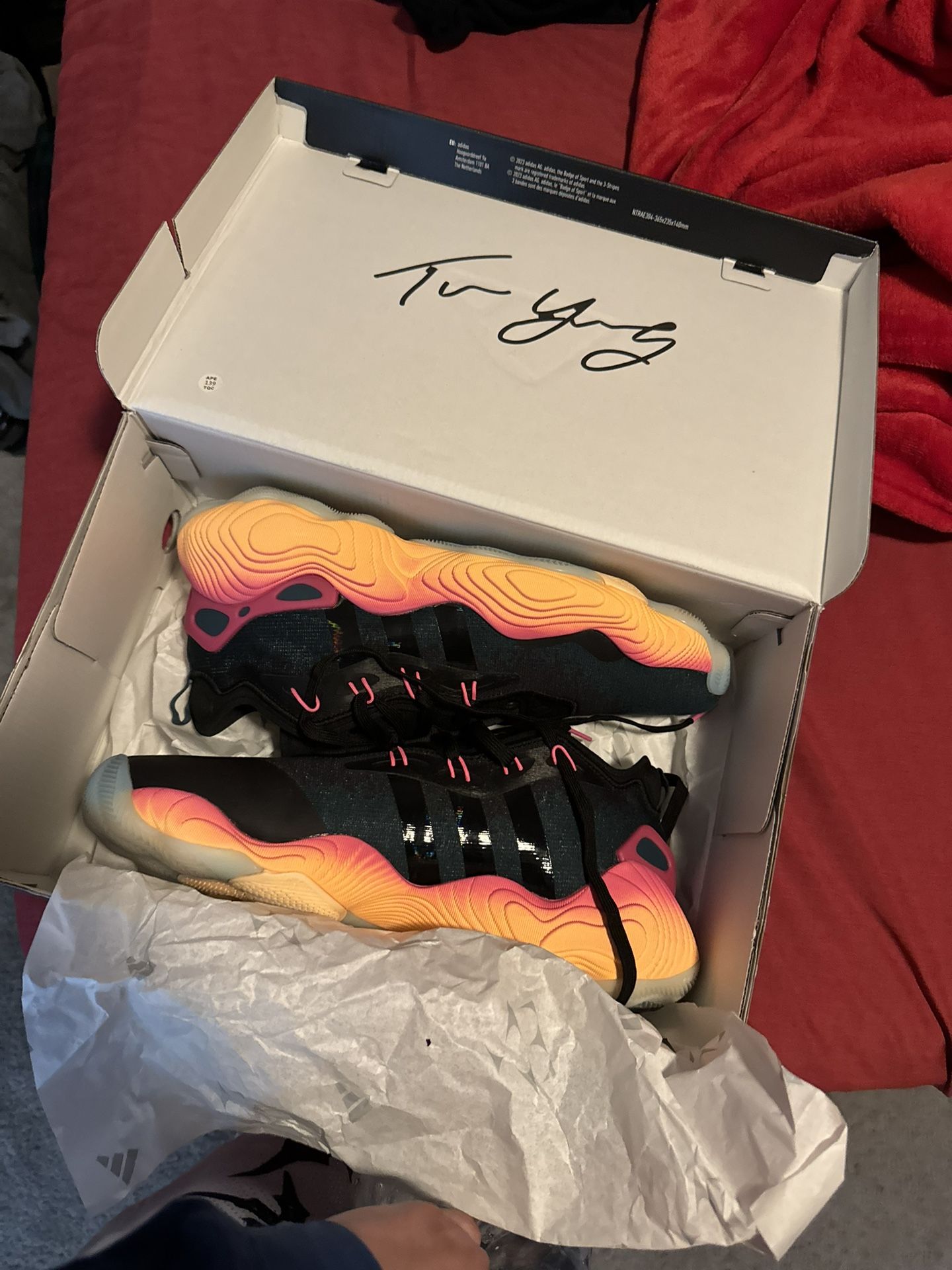 Basketball Shoes
