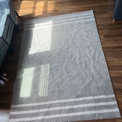 5'x7' Area Rug