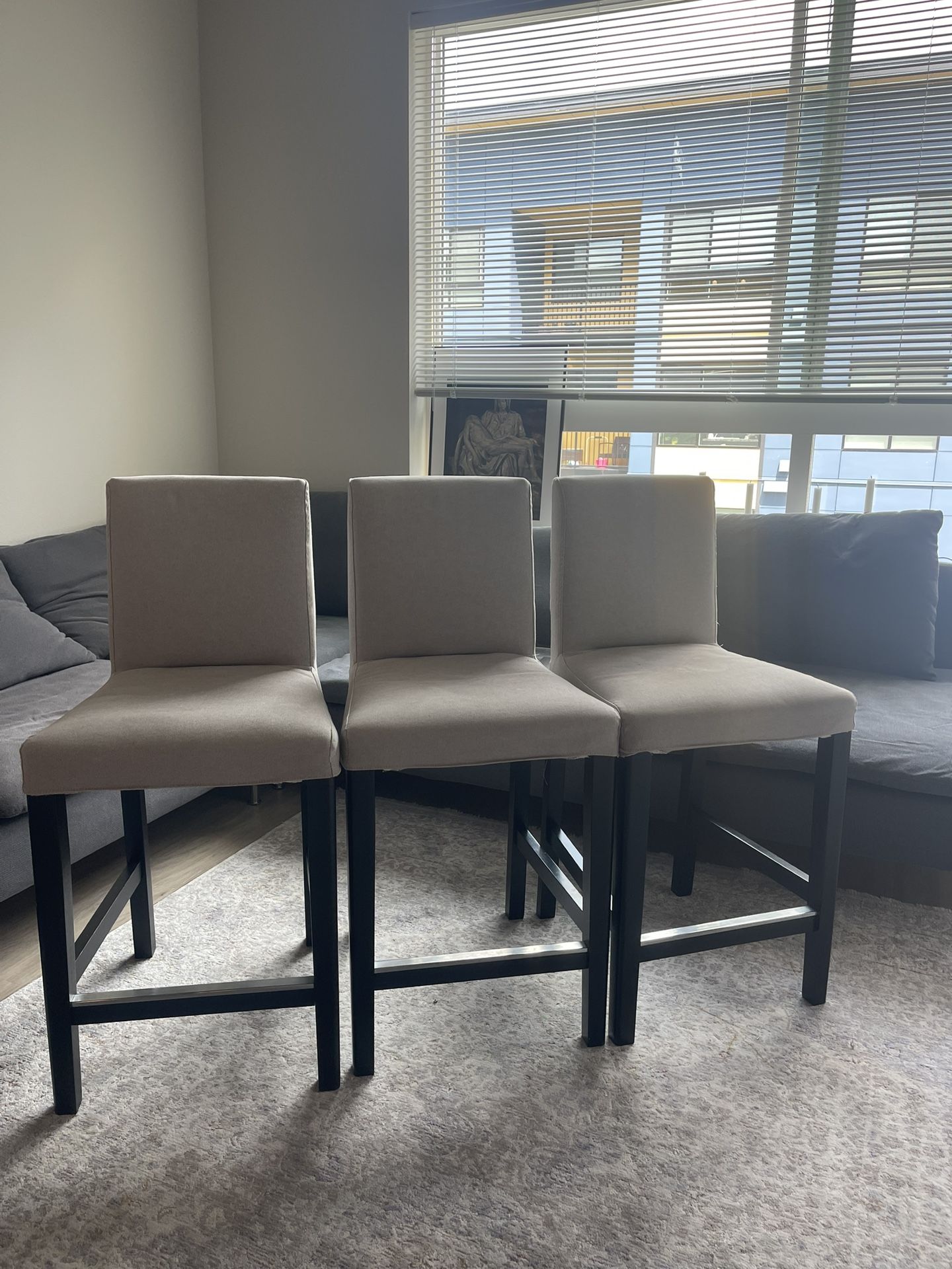 Dining Chairs