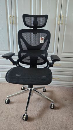 NWT Capot Ergonomic Office Chair