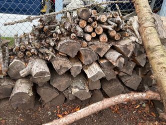 Large Stack of Cut Firewood Logs
