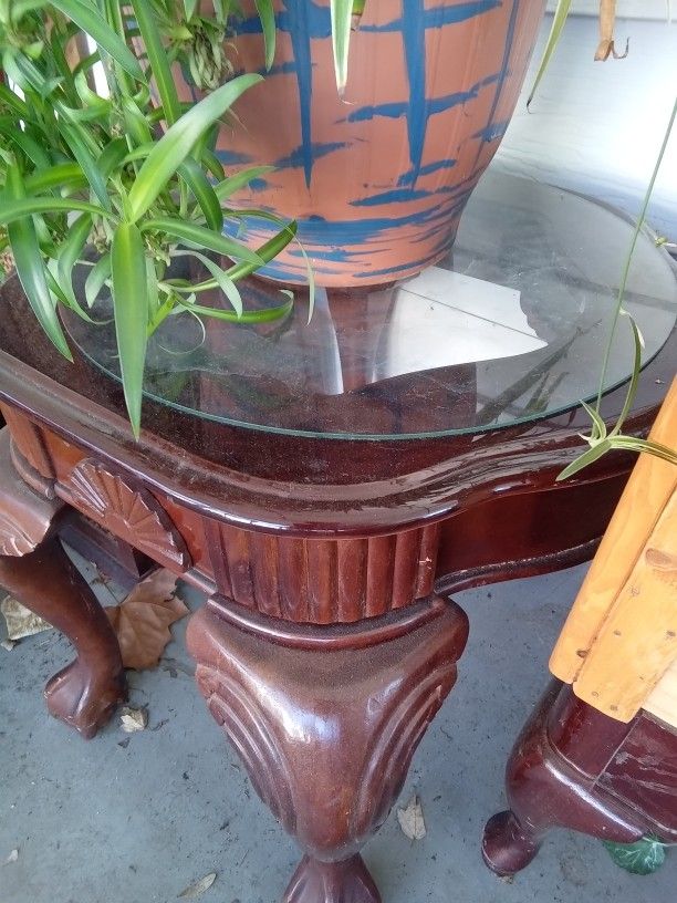 Plants