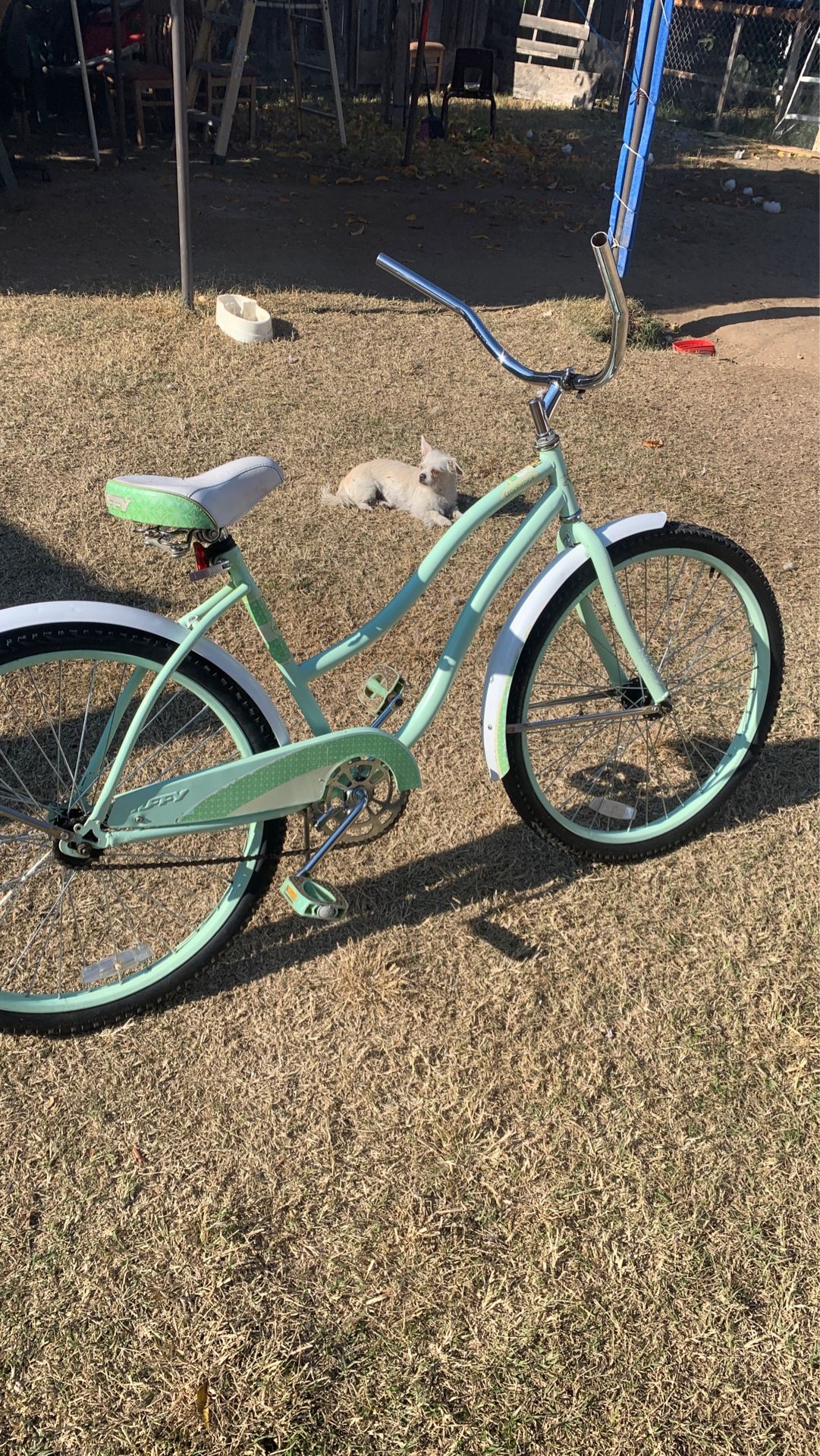 GREAT CONDITION BEACH CRUSER