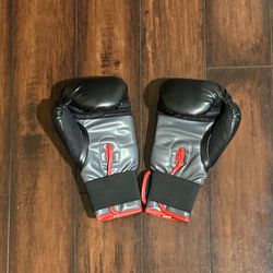 Everlast Boxing Gloves