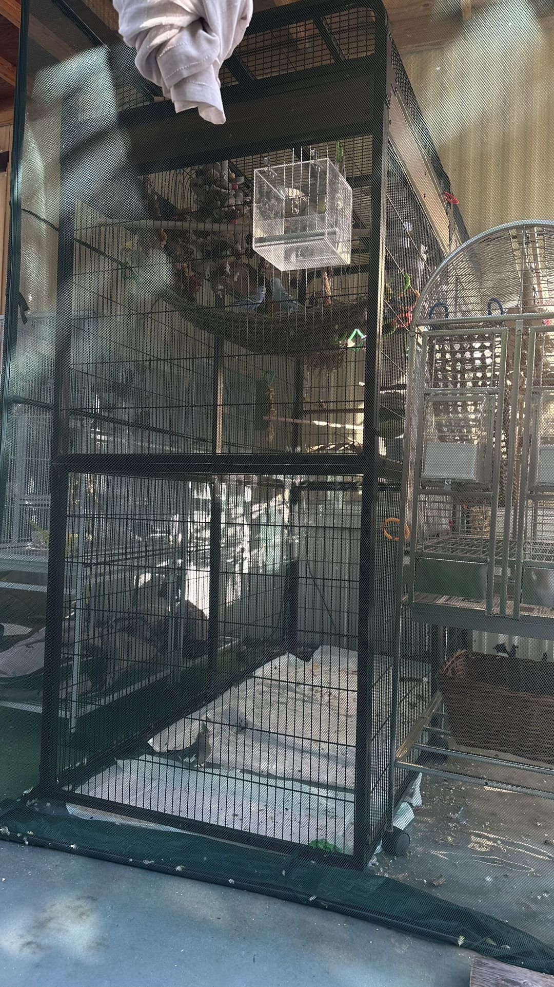 Bird Aviary ( Just The Cage )