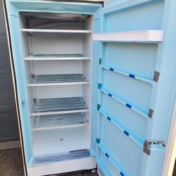 True cold Stand up deep chest freezer