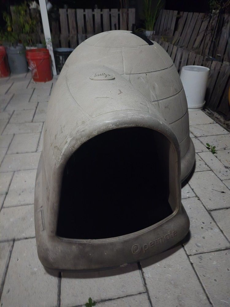 Dog House & Auto Water Dispenser