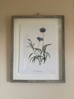 Framed Botanical  Floral Print Wall Art