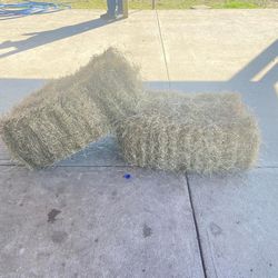 Hay For Sale/ En Venta 