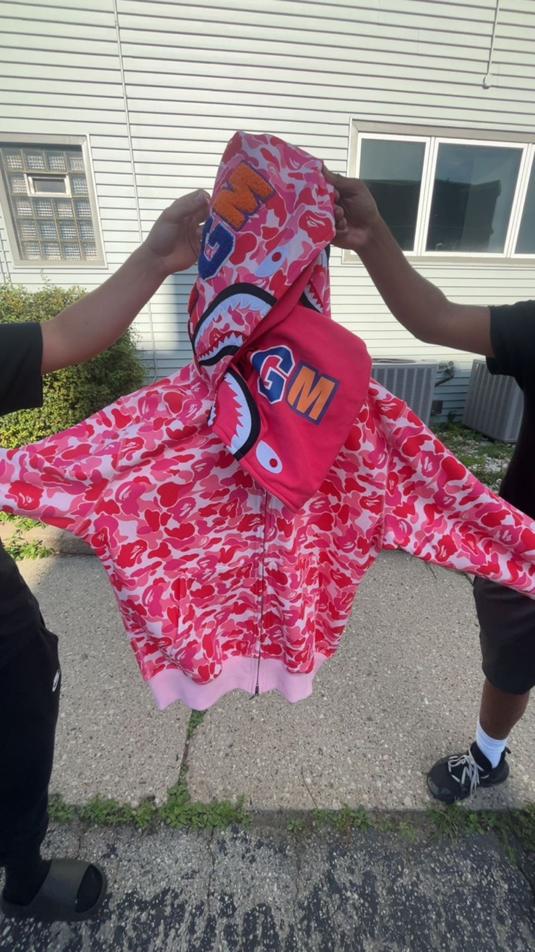 Pink Bape Hoodie (double Hood)