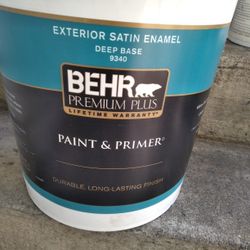 Paint. N Pfimer