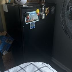 Mini Fridge 