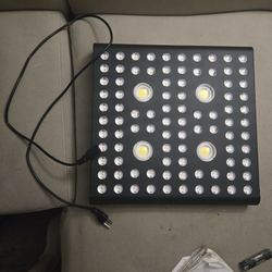 AGLEX 655W COB LED Grow Light