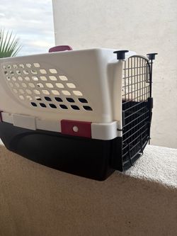 large cat crate/ medium dog