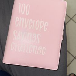 100 Envelope Savings Challenge 