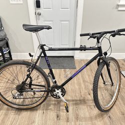Bridgestone Bike $100