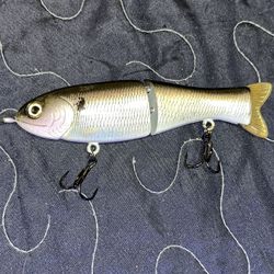 The Gracely Baits Finesse Shat 