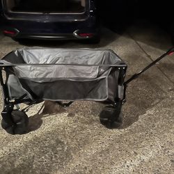 Timber Ridge Wagon
