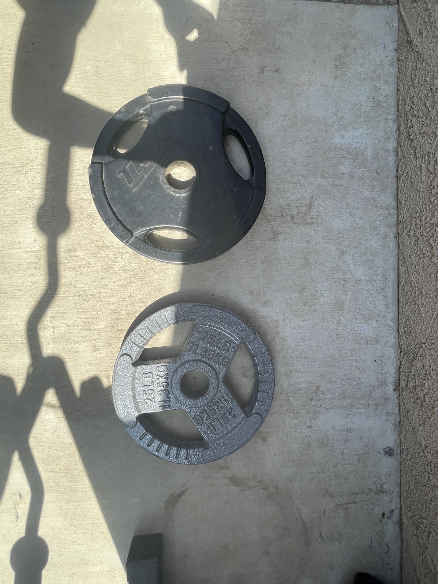 25lbs Weight Plates (pair)