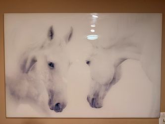 Large Contemporary White Horse Wall Art – Framed Glass/Acrylic Print