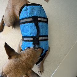 Dog Rain Coat