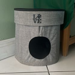 cat hangout