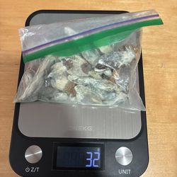 🍄
