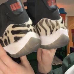 Animal Insect Jordan 11