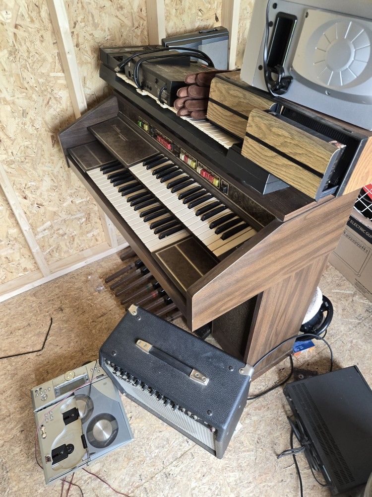 Organ