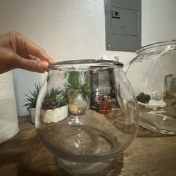 Terrarium Jars