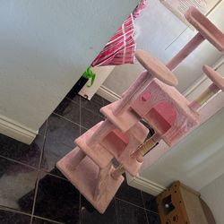 Free Cat House