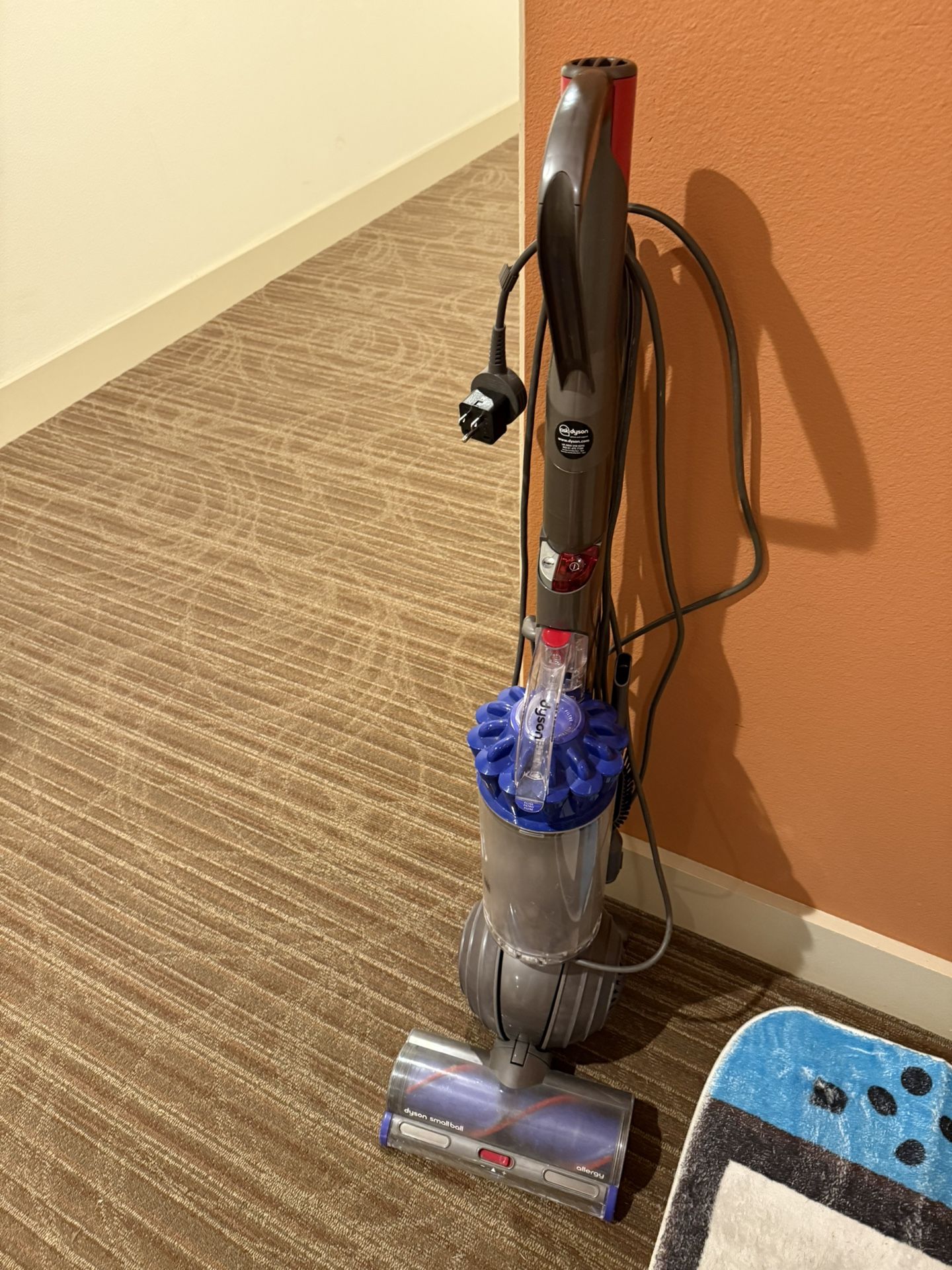 Dyson Small Ball UP22 Vacuum (with Power Adapter) – Works Great!