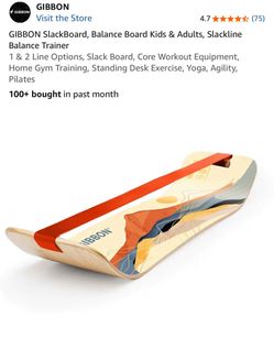 Gibbons Balance Board