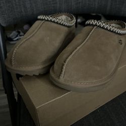 Uggs Tasman 