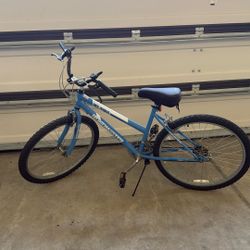 Mt. fury roadmaster bike