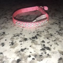 Extra Small Dog Collar 
