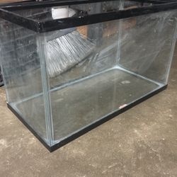 10 gallon tank
