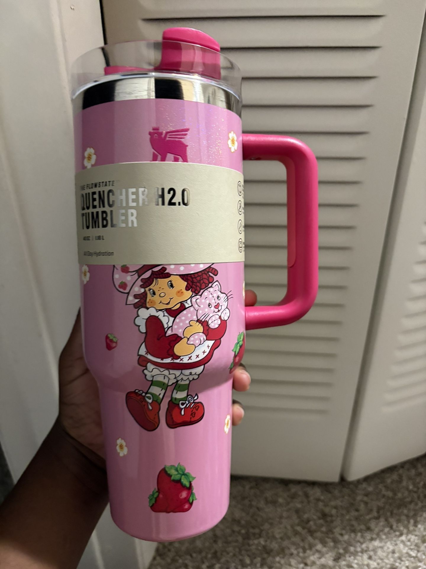 Strawberry Shortcake Stanely Cup