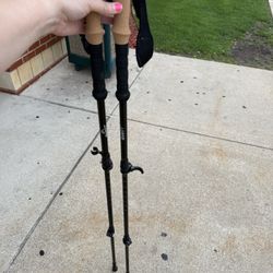 Quest Walking Sticks 