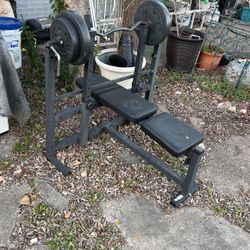Bench Press 