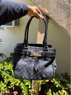 Coach bag