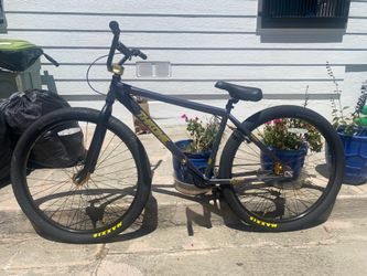 29” THRONE BIKE