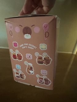 capybara surprise boxes