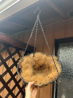 one season hanging planter