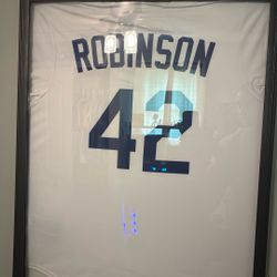 Nike Jackie Robinson Jersey