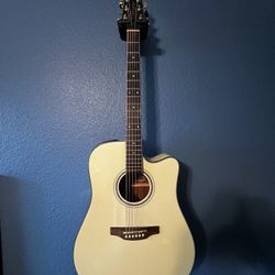 Takamine 