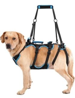 Dog Lift Harness for Large Male Dogs, 2-in-1 Detachable Support Harness 1pcs