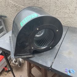 Snail Fan